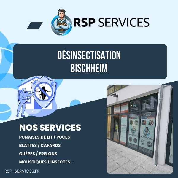 RSP Services désinsectisation Bischheim