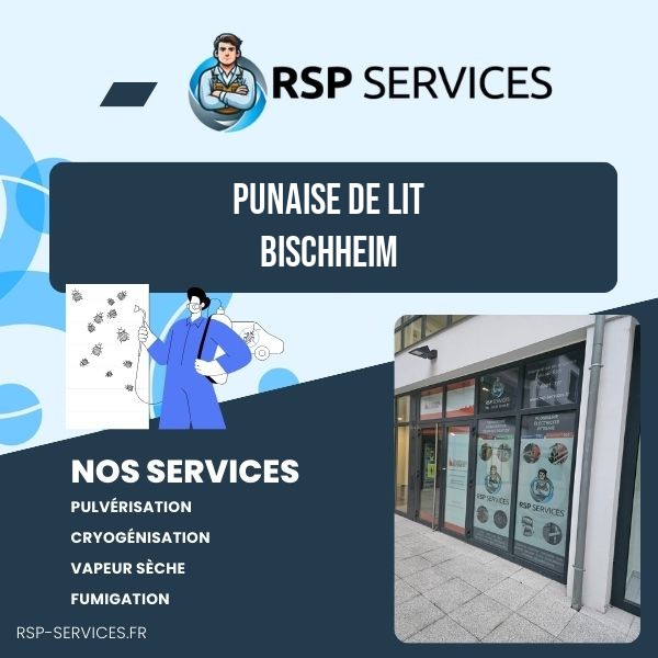 RSP Services punaise de lit Bischheim