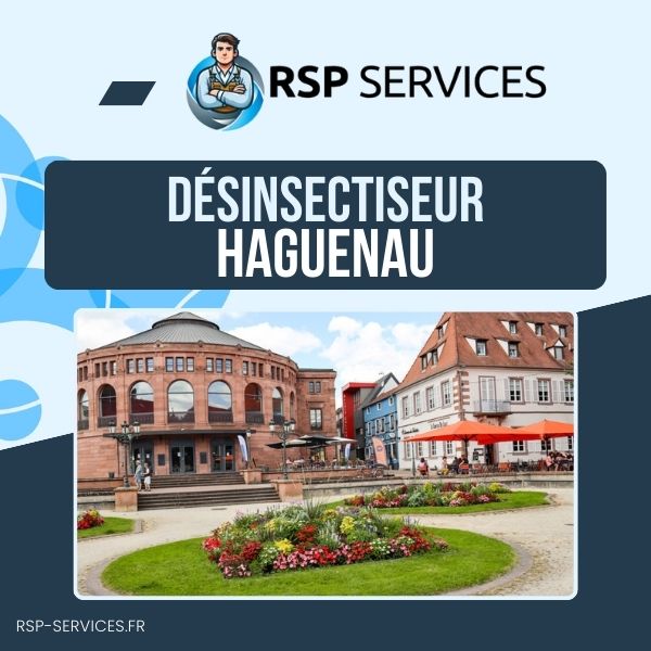 RSP Services désinsectiseur Haguenau