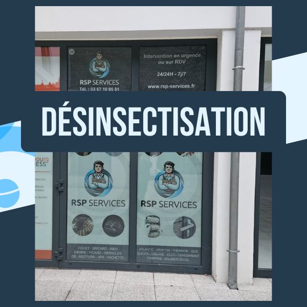 RSP Services désinsectiseur Sélestat