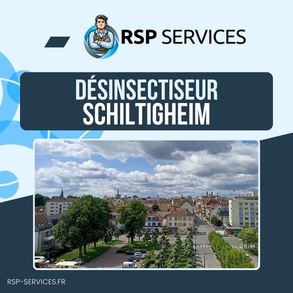 RSP Services désinsectiseur Schiltigheim
