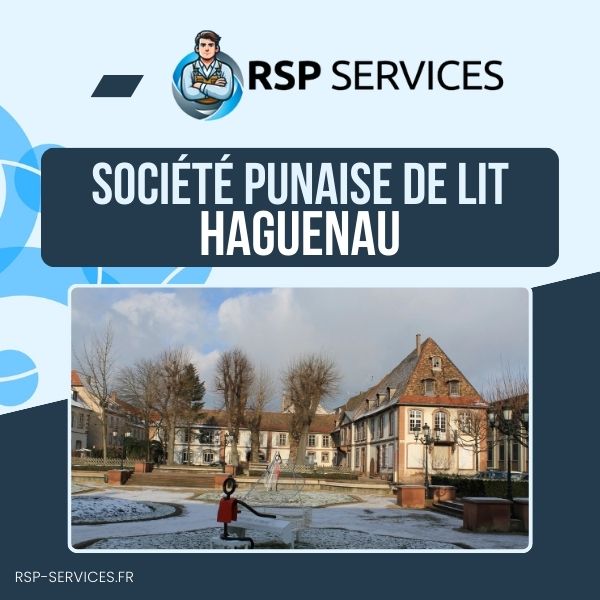 RSP Services exterminateur Haguenau